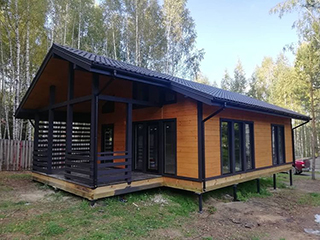 Dom szkieletowy